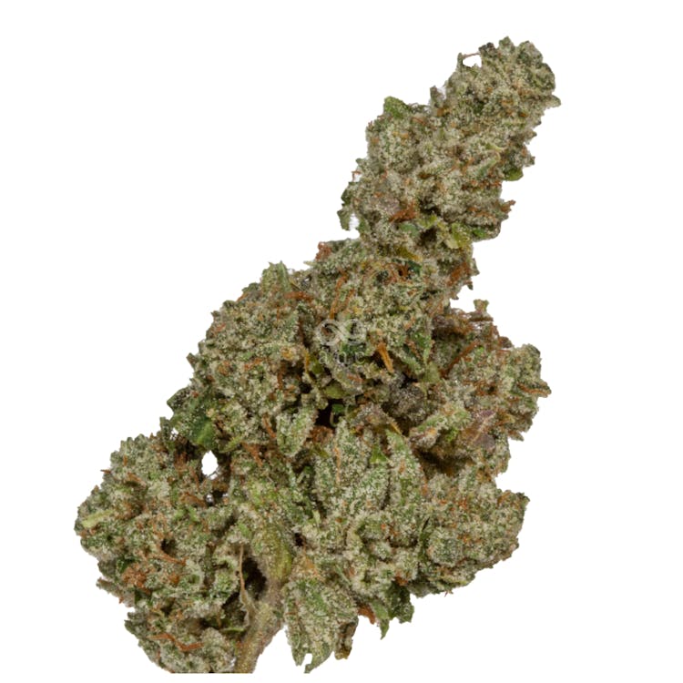 ANC - Arizona Natural Concepts