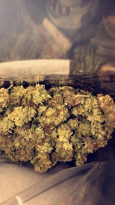 The Pot Shop
