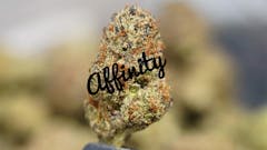 $10 off ANY TIER Flower Oz.