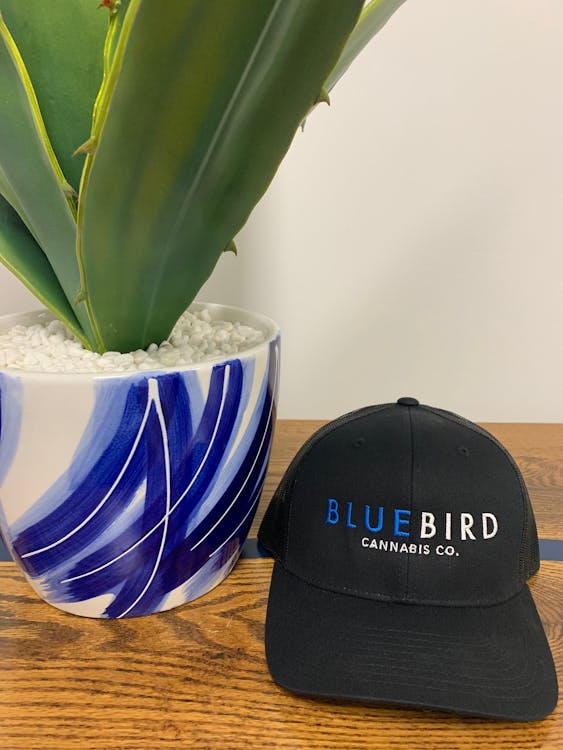 BlueBird Cannabis