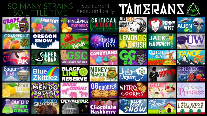 Tamerans