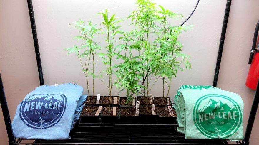 New Leaf Medicinals