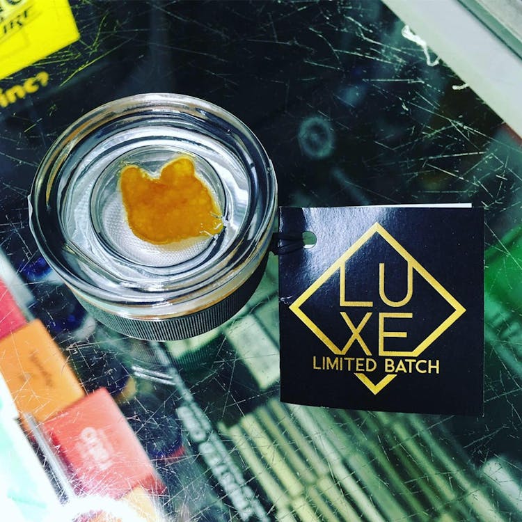 Chronic Solutions