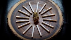 Loud Pack Saturday: 10% off all Joint Packs