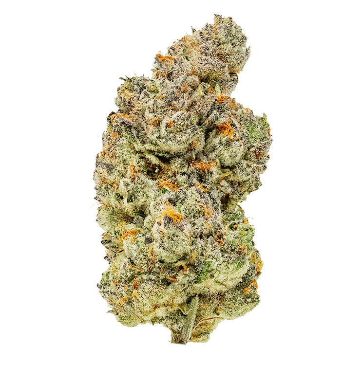 Pure Options - Lansing South - Medical