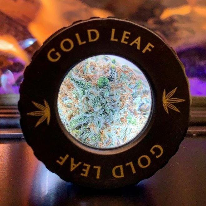Gold Leaf - Annapolis