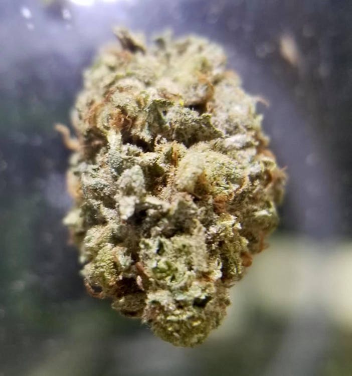 Thunder Budz Dispensary