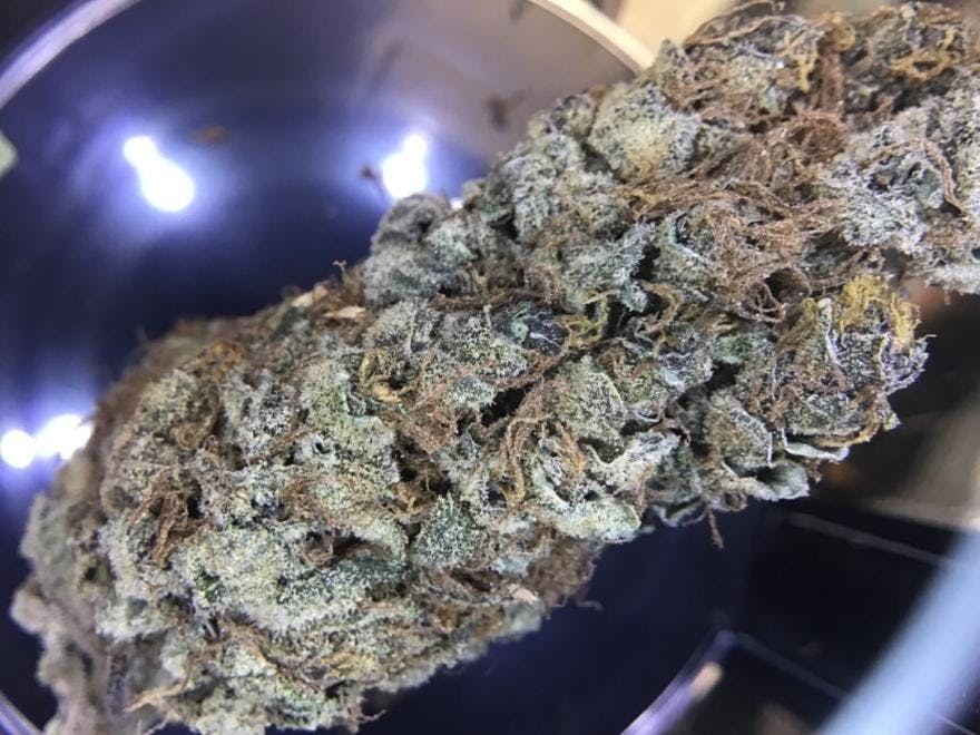 RedEye 420 Dispensary