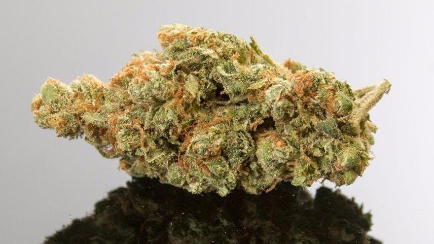 Herbal Solutions