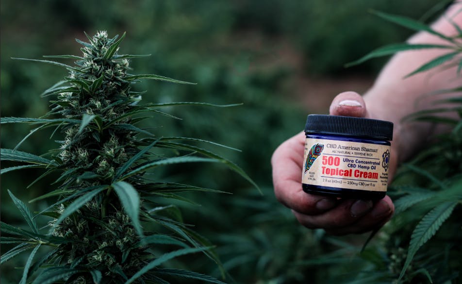CBD American Shaman of Wilmington