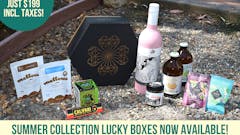 $199 SUMMER COLLECTION BOX