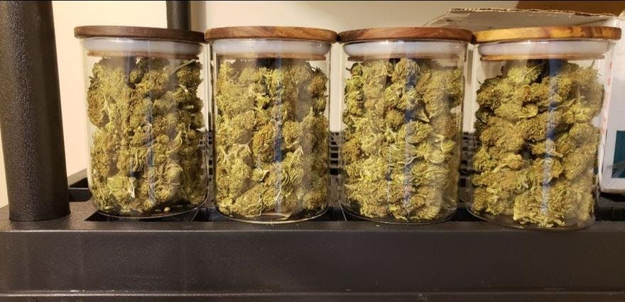 Snapdragon Hemp - East Ridge (CBD only)