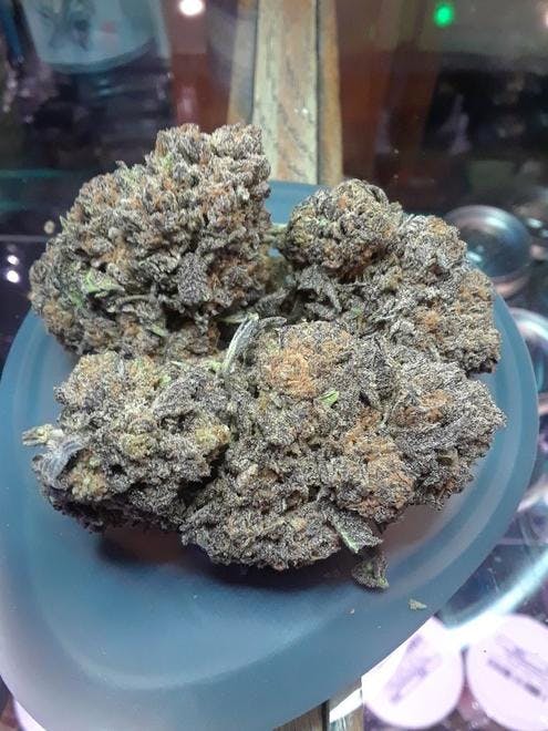 Natures Medicine Salida