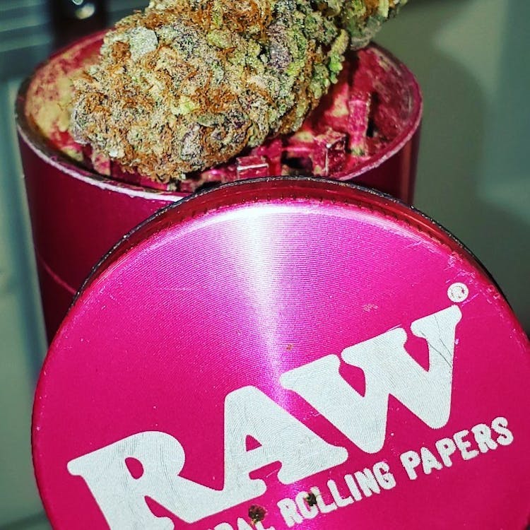Miller Greenacres Pharms
