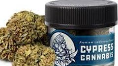 Cypress Flower Sale!