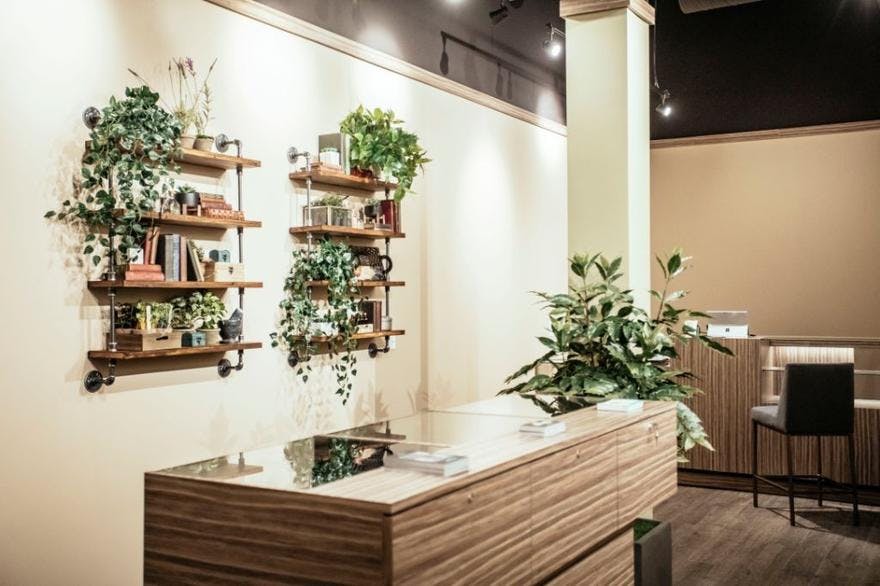 Herbology - Westminster