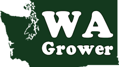 $20 Premium Dabs from WA Grower!