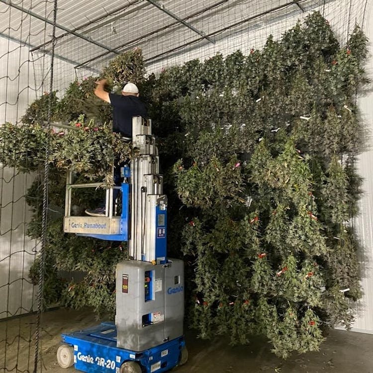 Tradecraft Farms - 23rd Okc