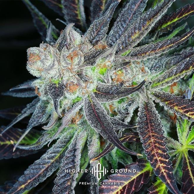 Higher Ground Dispensary - Oklahoma