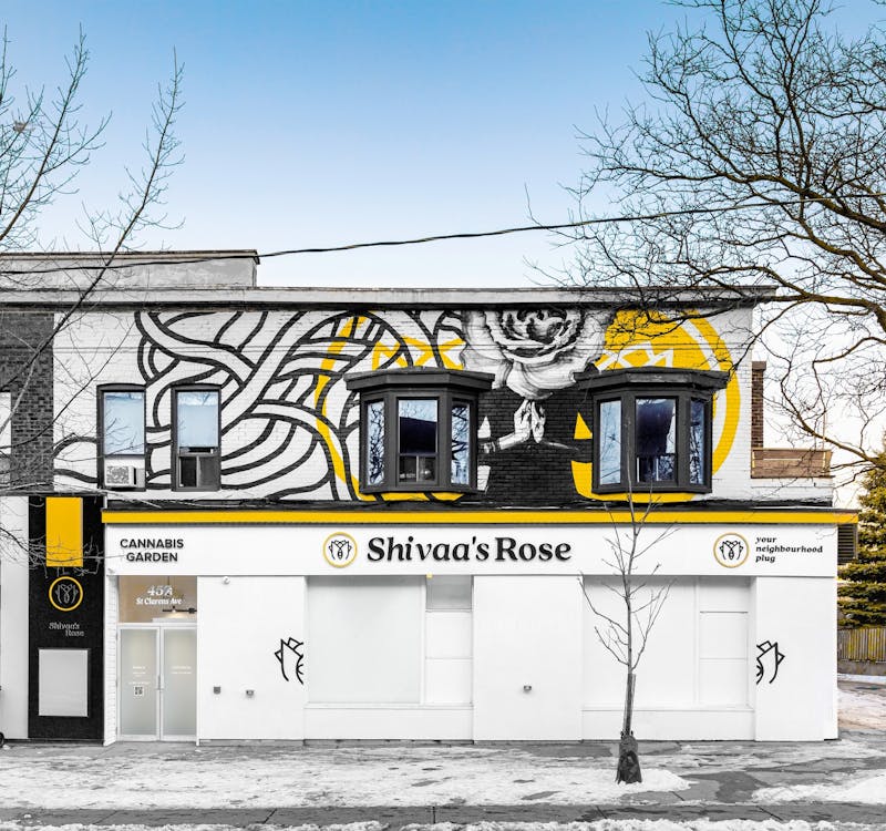 Shivaa's Rose - Toronto