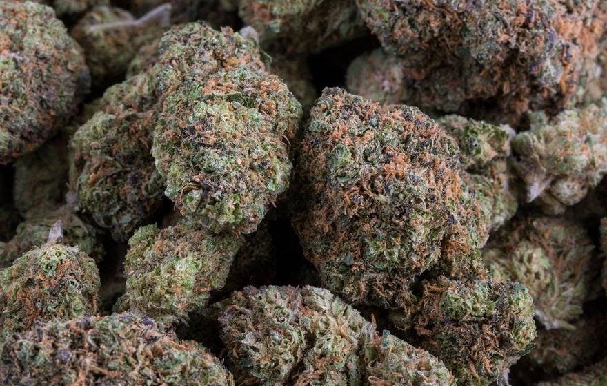 Oasis Cannabis Superstore - Evans