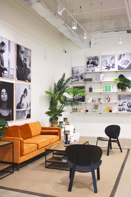 Cann Shop - NORTH YORK