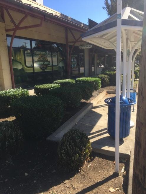 Terpene Station - Eugene
