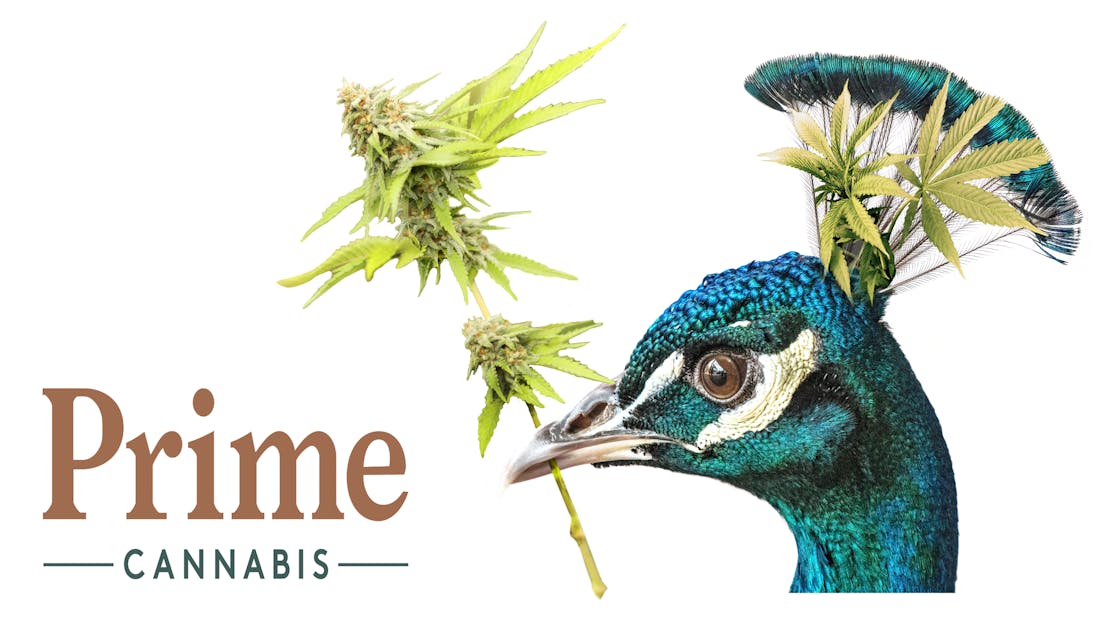 Prime Cannabis - Cranbrook