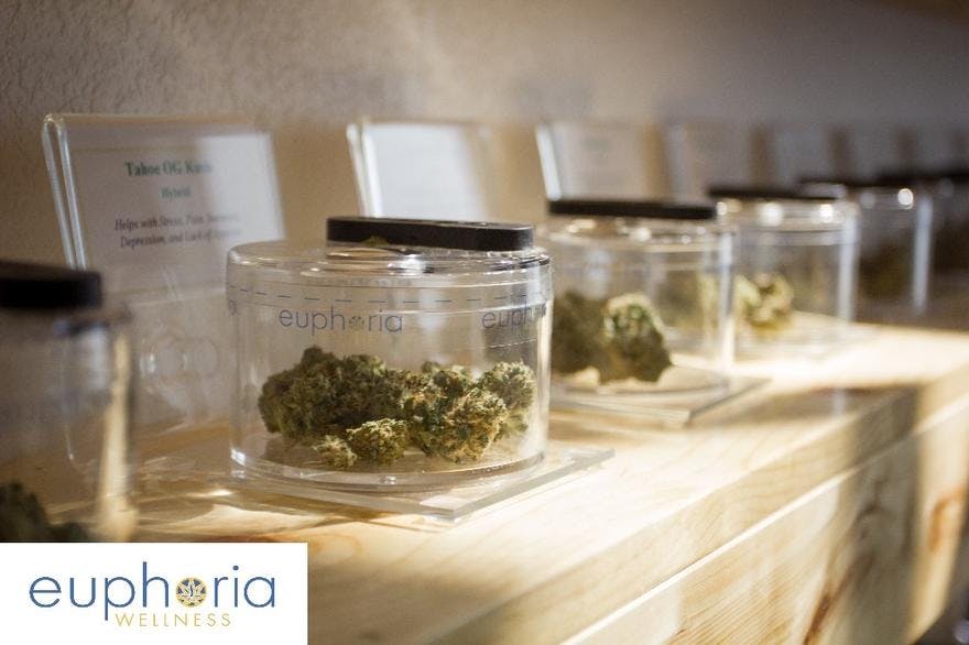 Euphoria Wellness - Bozeman