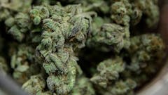 1 OUNCE Pr ORANGE CREAMSICLE Only $250!! 25% Off!
