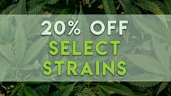 20% OFF Select Strains