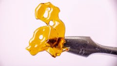 Friday 10% off Oil | Daily Deals
