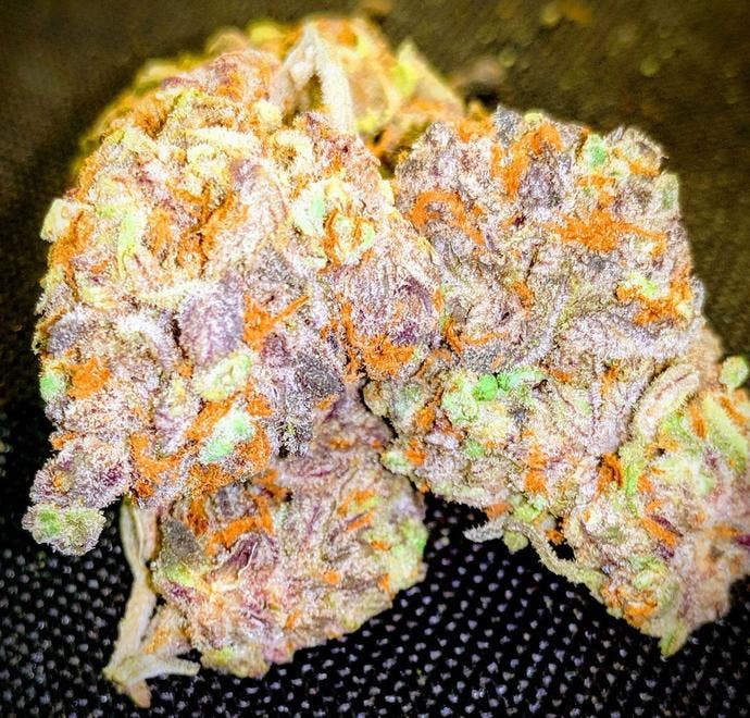Cannabiz Experience