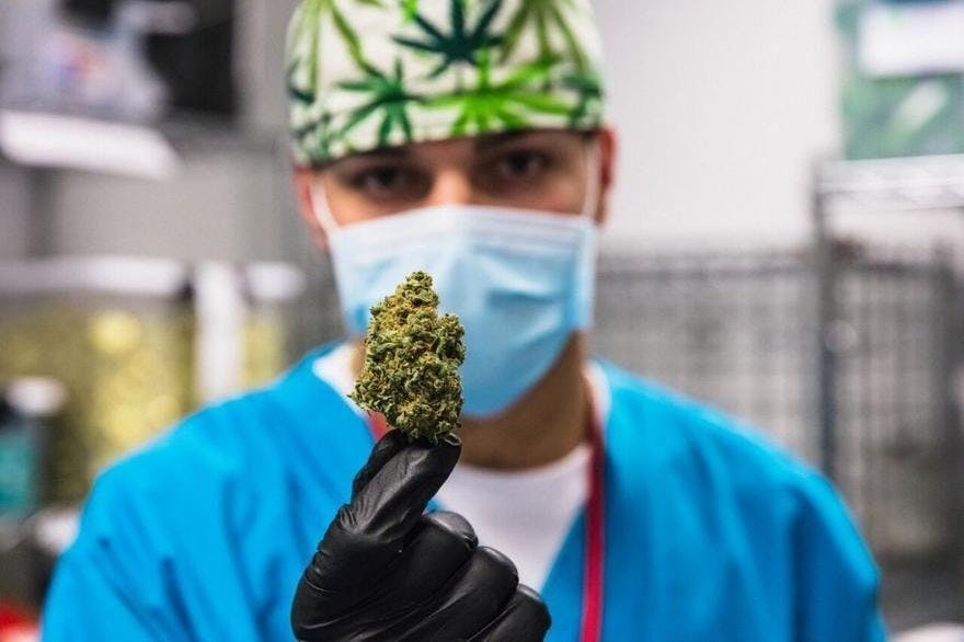 Garden Remedies - Newton Recreational