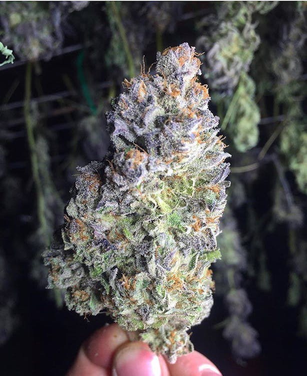 Broadleaf Dispensary