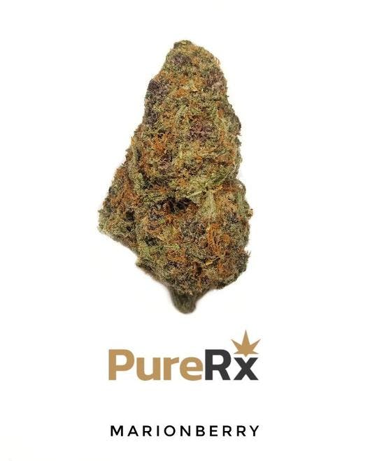 PureRx - Collinsville