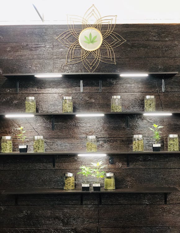 Sacred Buds