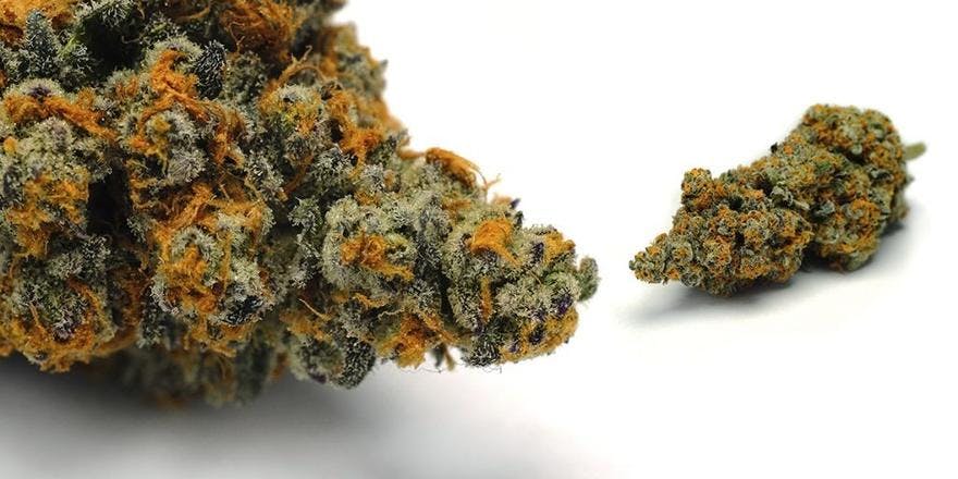 Stateside Wellness