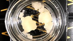 3 grams of Champagne Live Sugar for $120 OTD
