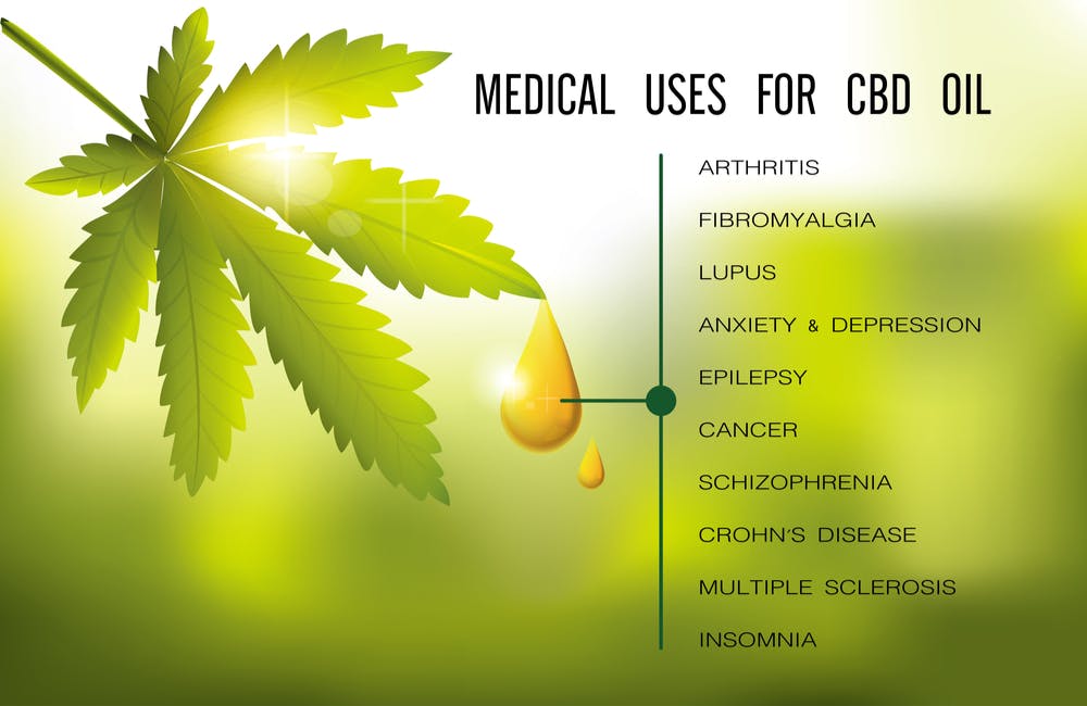 Modern Day Hemp Company
