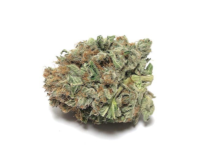 Hashtag Cannabis - Fremont