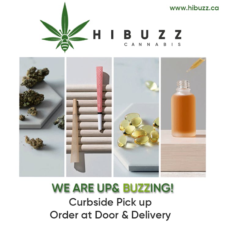 Hi Buzz Cannabis