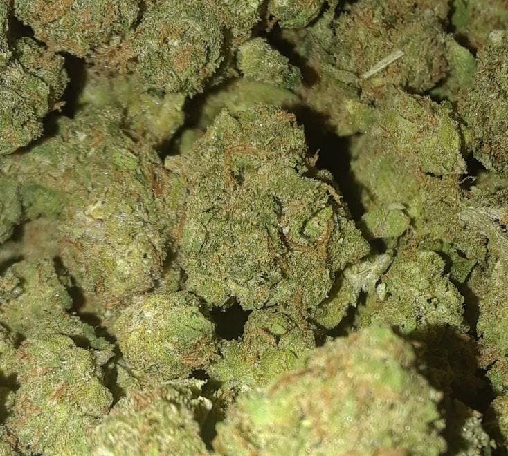 Natures Medicine Salida