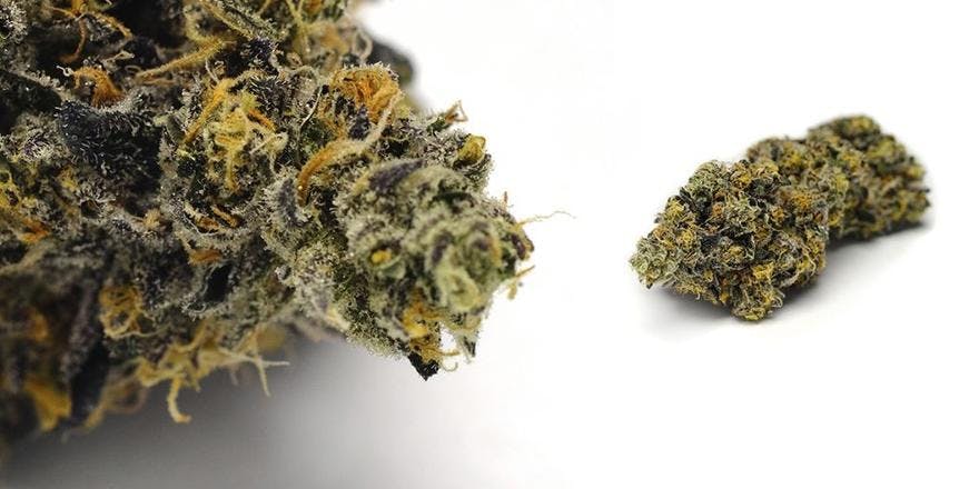 Stateside Wellness