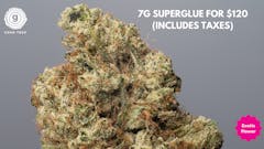 7g EXOTIC Superglue for $120