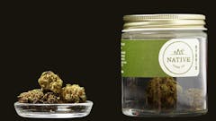 30% off Native Herb Flower