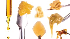Shatterday - 15% off all concentrates.