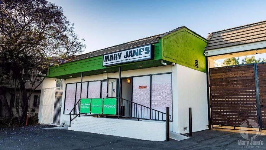 Mary Jane's Collective