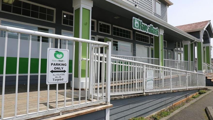 A Cannabis Store...y - Ocean Shores