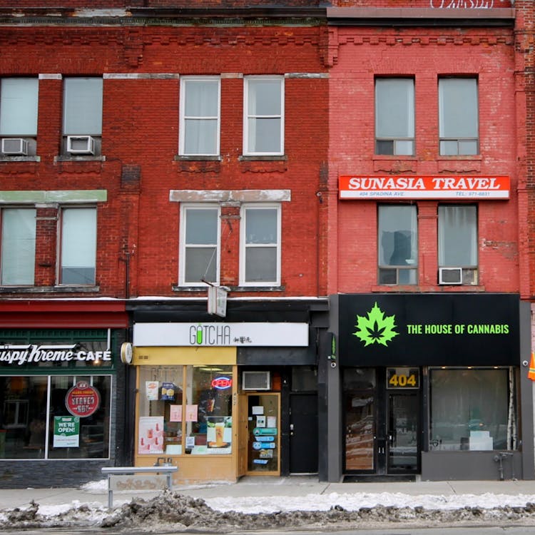 The House of Cannabis - Spadina Ave - Now Open!